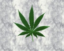 Cannabinatic screensaver screenshot