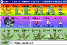 skiny pro Internet Explorer nhled