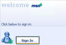 MSN skin screenshot